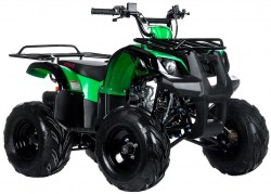 Irbis green